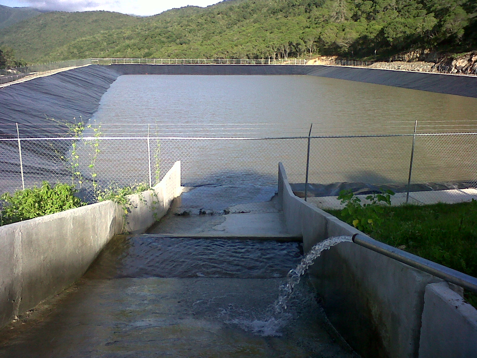 IMG00464-20130920-1815